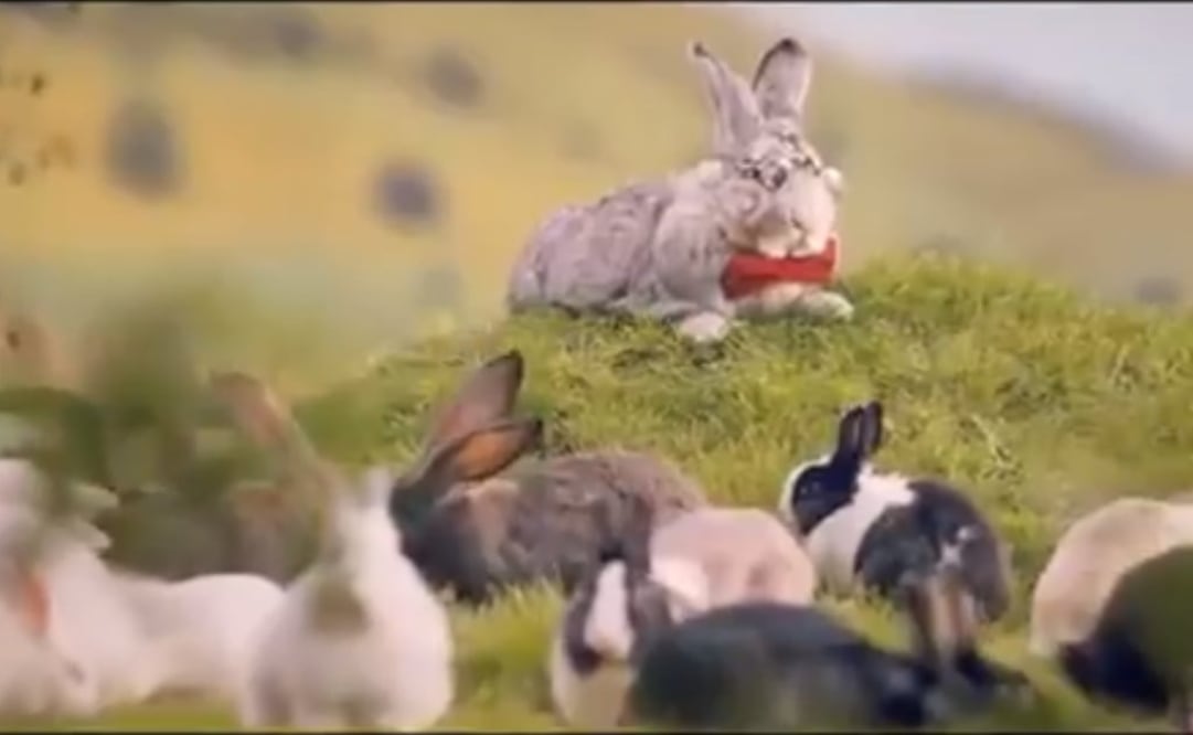 Foto: Tomada de video