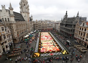 Alfombra de flores cubre la Grand-Place de Bruselas