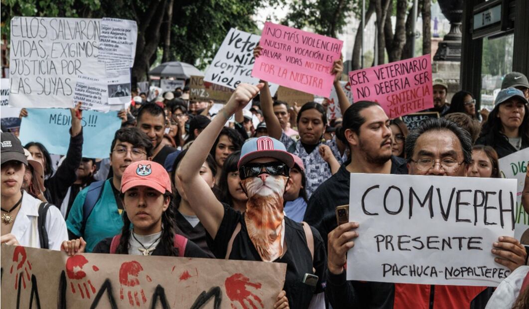 Veterinarios marchan al Senado piden se garantice el seguro de la medicina veterinaria en el país. Foto: Yaretzy M. Osnaya/EL UNIVERSAL