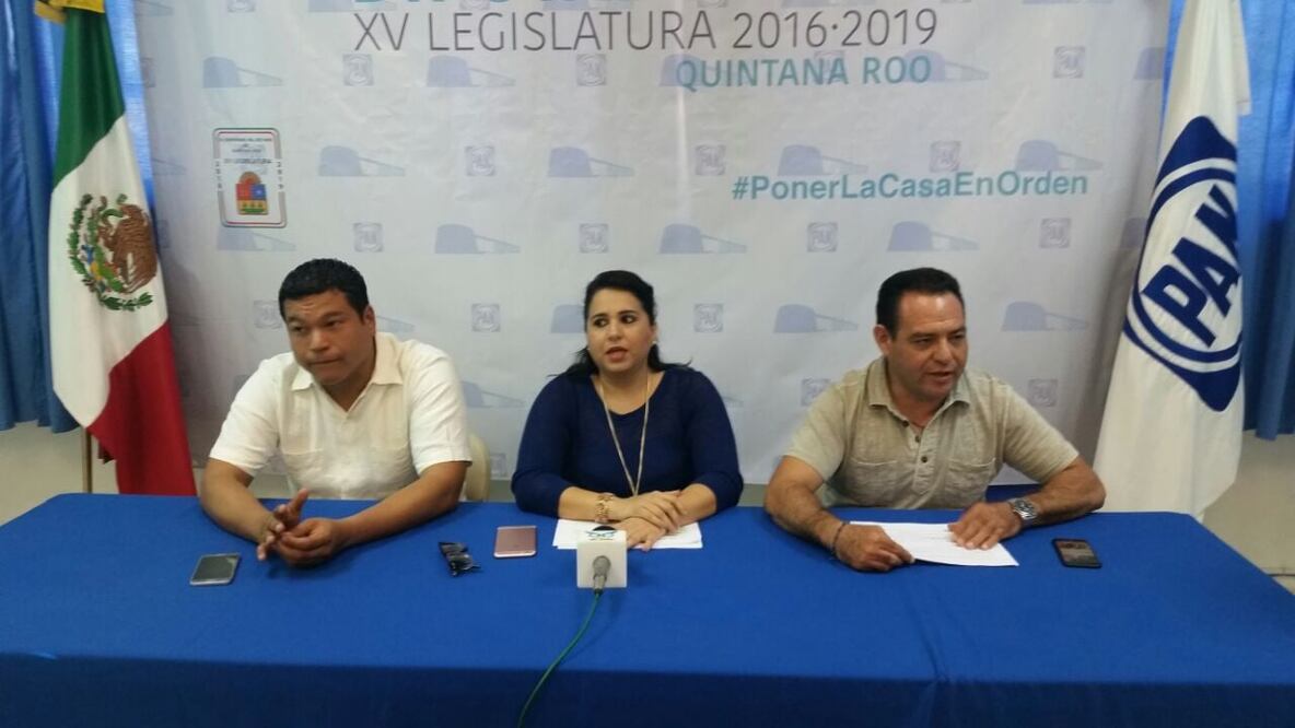 La coordinadora de la fracción parlamentaria, Mayuli Martínez Simón dijo en conferencia de prensa que presentaron una iniciativa de ley la semana pasada (Silvia Hernández / EL UNVIERSAL)