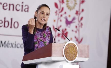 Sheinbaum: exalcaldesa de Tecámac no violó la ley al ordenar sacrificio de 10 mil perros; "se pueden mejorar las prácticas", reconoce