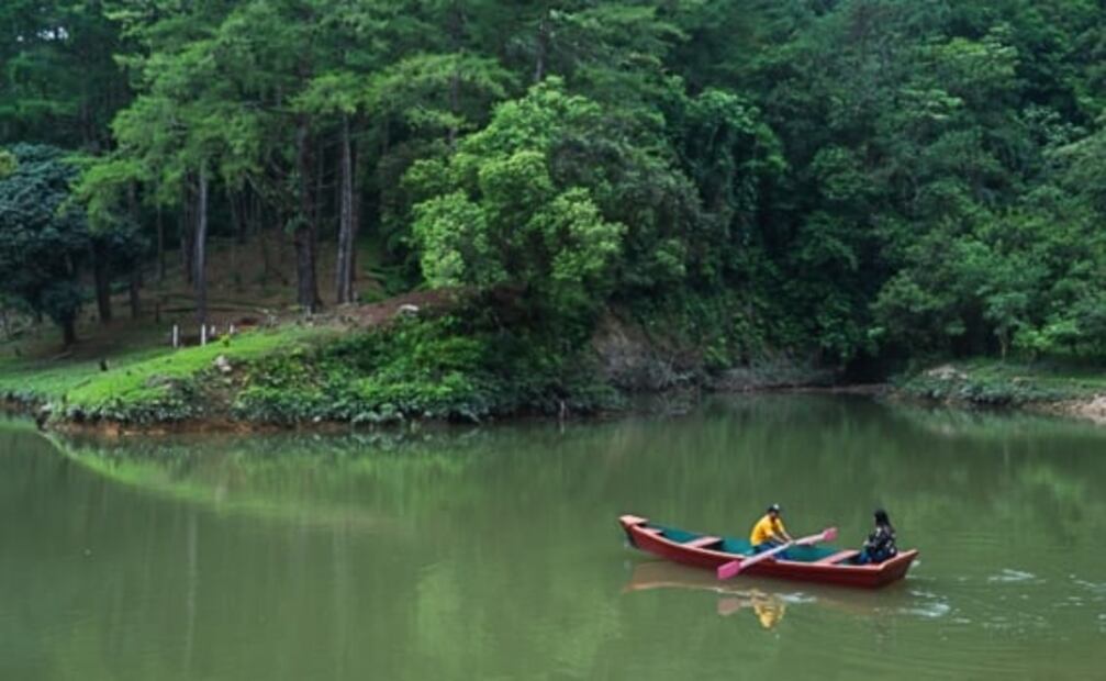 5 lugares para ver luciérnagas cerca de CDMX