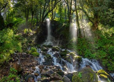 Estas son las cascadas de la CDMX que debes conocer