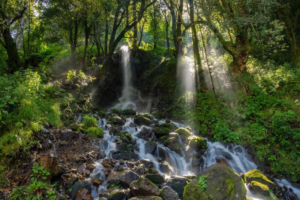 Foto: Rafael Saldaña/Flikr/Creative Commons