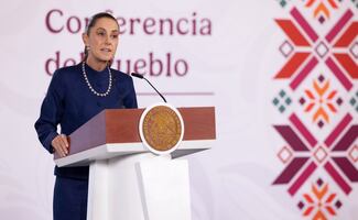 Sheinbaum anuncia liberación de moscas estériles en Tamaulipas; buscan combatir al gusano barrenador