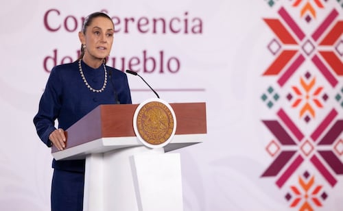Sheinbaum anuncia liberación de moscas estériles en Tamaulipas; buscan combatir al gusano barrenador