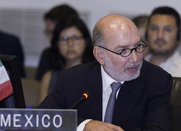 México y otros 12 países de la OEA exigen a Maduro suspender Constituyente