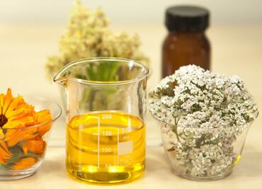 ¡La flor maravilla! Estos son los beneficios de la caléndula