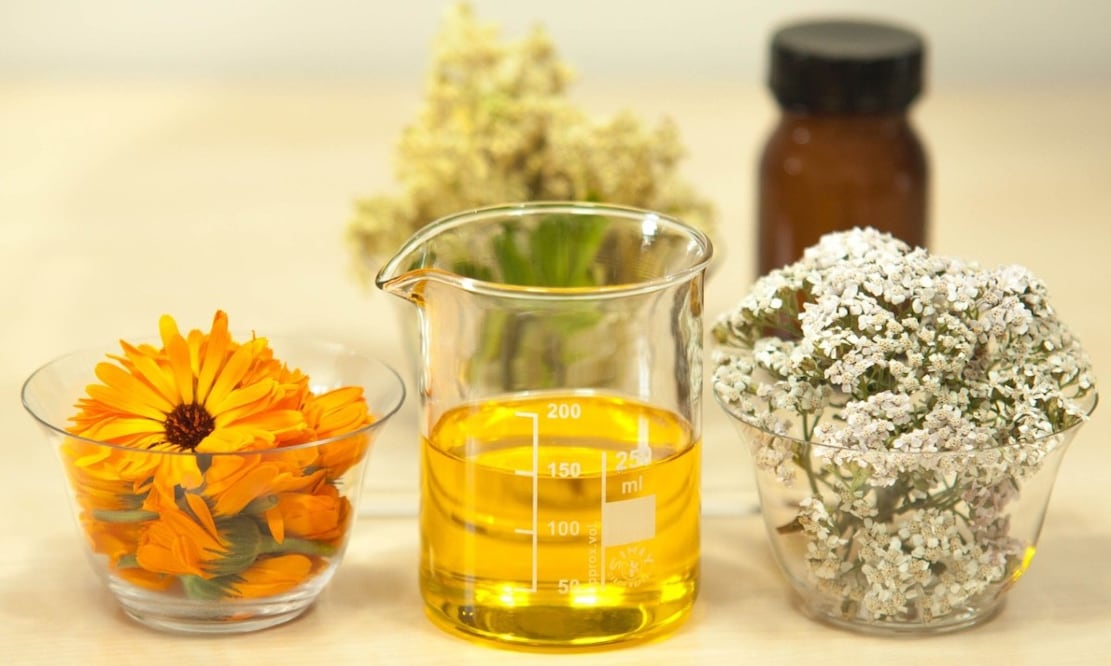 La caléndula también es conocida como la flor maravilla por sus propiedades curativas. Foto: xbqs42 / Pixabay