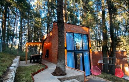 Quédate en estas cabañas boutique, cerca del Pueblo Mágico de Mineral del Chico