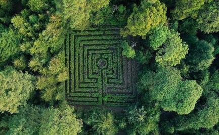 5 parques ecoturísticos cerca de CDMX