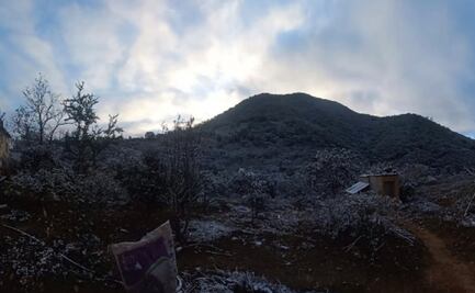 Guanajuato suspende clases presenciales ante frente frío 24; activan refugios para población vulnerable