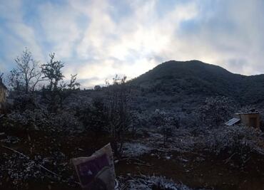 Guanajuato suspende clases presenciales ante frente frío 24; activan refugios para población vulnerable
