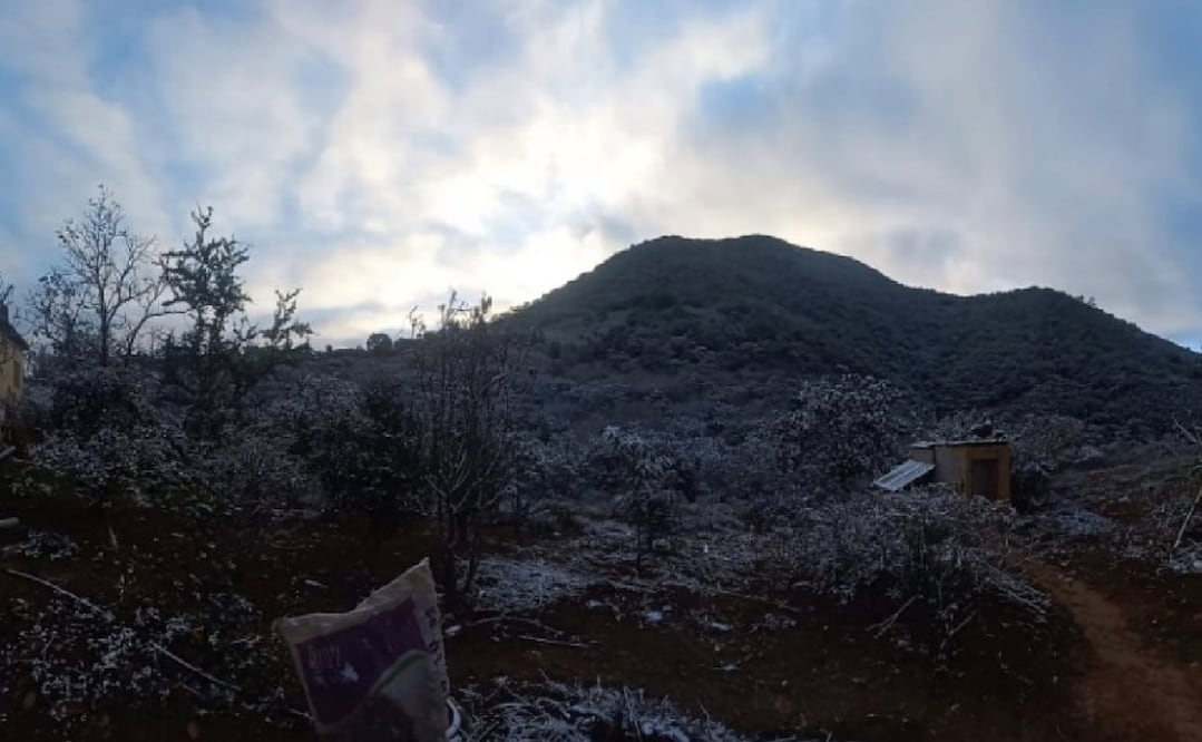 nevadas en municipios de Guanajuato. Foto: Especial