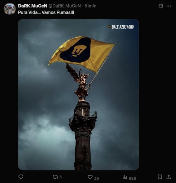 Estos son los MEJORES MEMES de Pumas tras pasar a la final