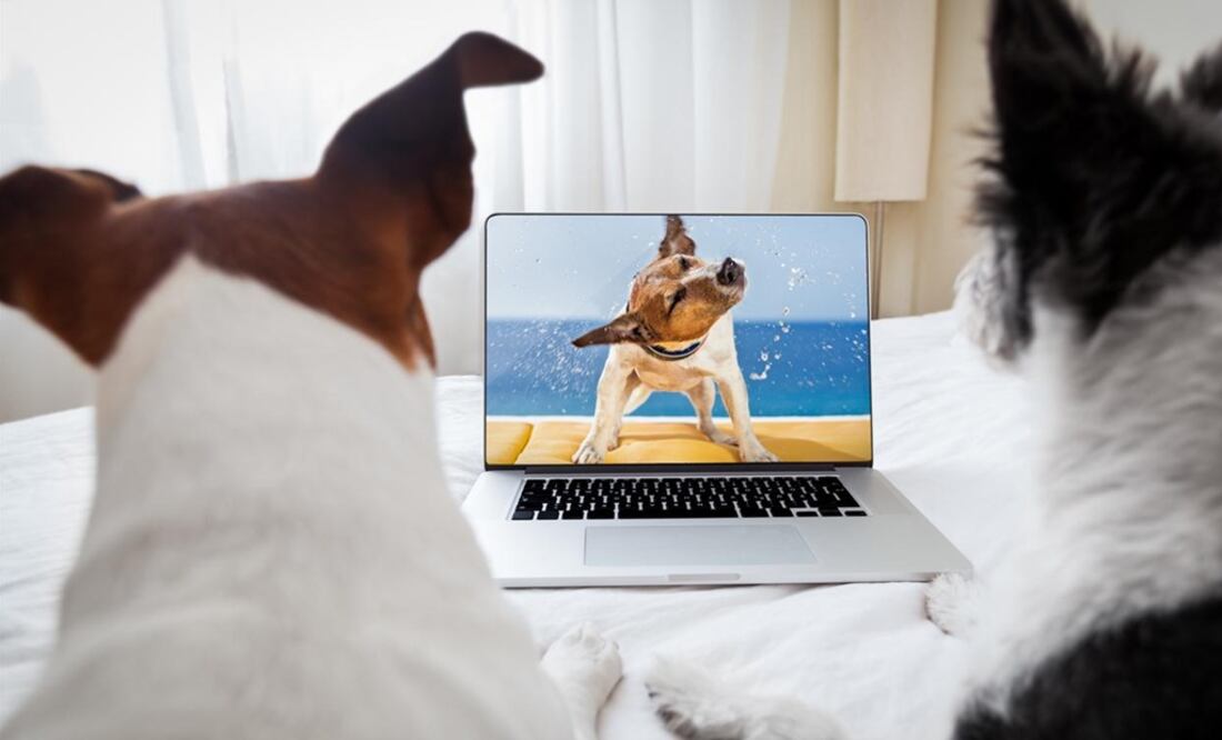 (FOTO: Archivo/EL UNIVERSAL)