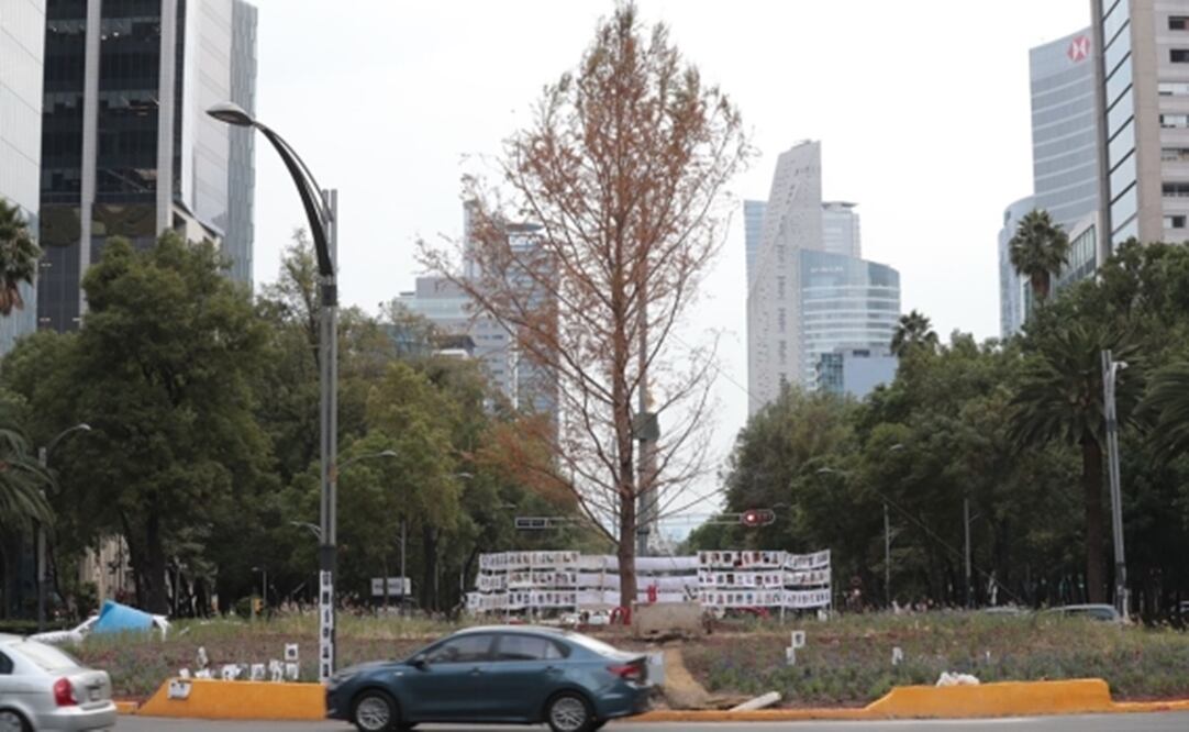 Foto: ARCHIVO/ EL UNIVERSAL/ Para la mejor adaptación del árbol, especialistas recomendaron mantenerlo en aislamiento, lo que ha permitido disminuir las diferentes presiones a las que el ahuehuete ha estado sujeto