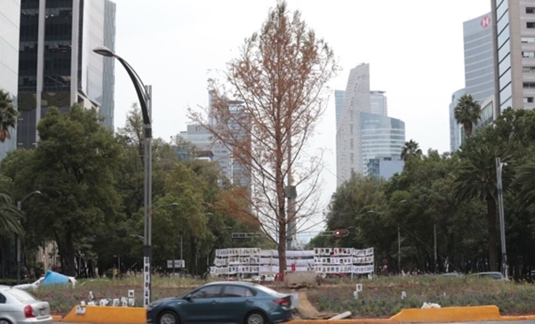 Foto: ARCHIVO/ EL UNIVERSAL/ Para la mejor adaptación del árbol, especialistas recomendaron mantenerlo en aislamiento, lo que ha permitido disminuir las diferentes presiones a las que el ahuehuete ha estado sujeto