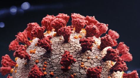 Lo que podemos aprender de los virus mortales que desaparecieron sin dejar rastro 