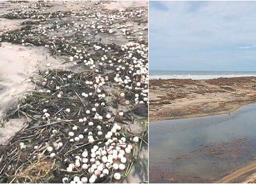 Daña tormenta Narda 4 millones de huevos en Oaxaca
