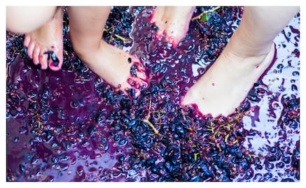 La Fiesta de las Vendimias en Guanajuato ya tiene fecha ¡Aparta el día!