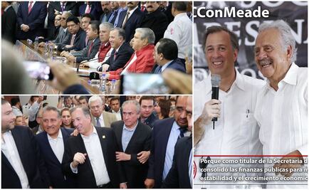 Cobijan sectores y dirigencia del PRI a Meade rumbo a 2018