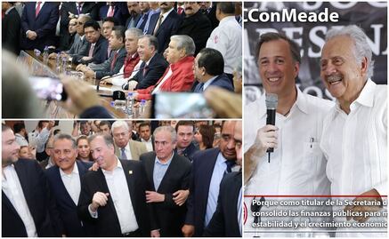 Cobijan sectores y dirigencia del PRI a Meade rumbo a 2018