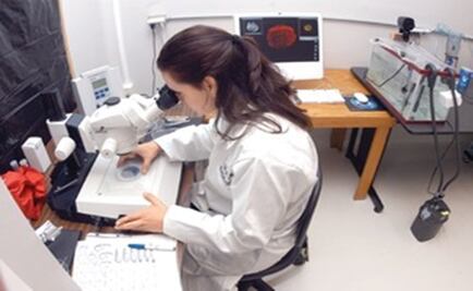 Lirio acuático, de plaga a producto sustentable 