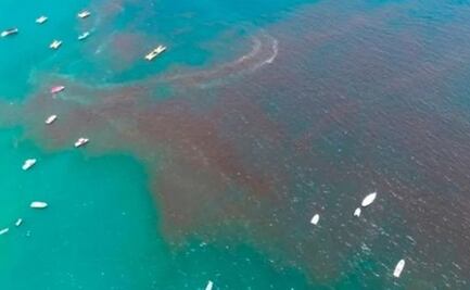 Marea roja provoca recale de pulpo y peces en Telchac, Yucatán