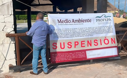 Suspenden espectáculos con delfines en Hotel Barceló Riviera Maya; Profepa investiga maltrato animal