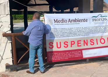 Suspenden espectáculos con delfines en Hotel Barceló Riviera Maya; Profepa investiga maltrato animal