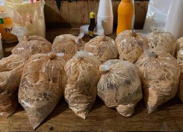 A esto saben las marranadas en San Luis Potosí