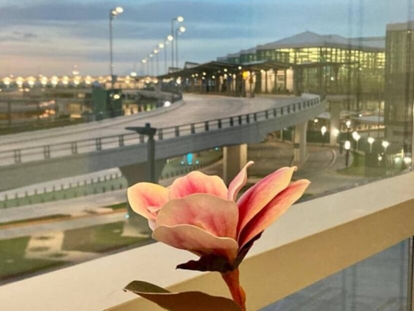 Cuánto cuesta entrar a la nueva sala VIP del AIFA y qué incluye