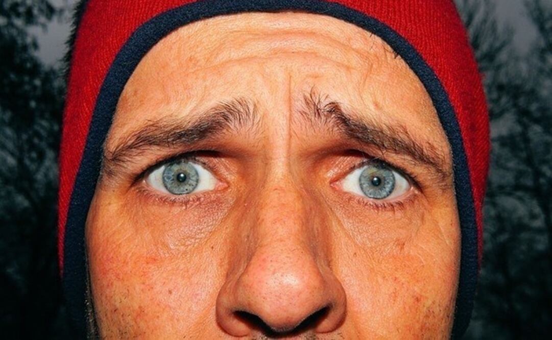 Las cejas muy móviles que se pueden utilizar para expresar una amplia gama de emociones sutiles. (FOTO: Especial)