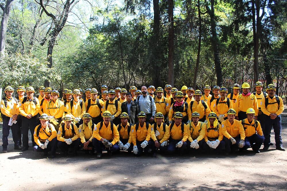 Foto: gob.mx/conafor