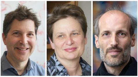 El instinto paternal de un ratón, burbújas que replican el estallido de un agujero negro y otros ganadores de los "Oscar de la Ciencia"