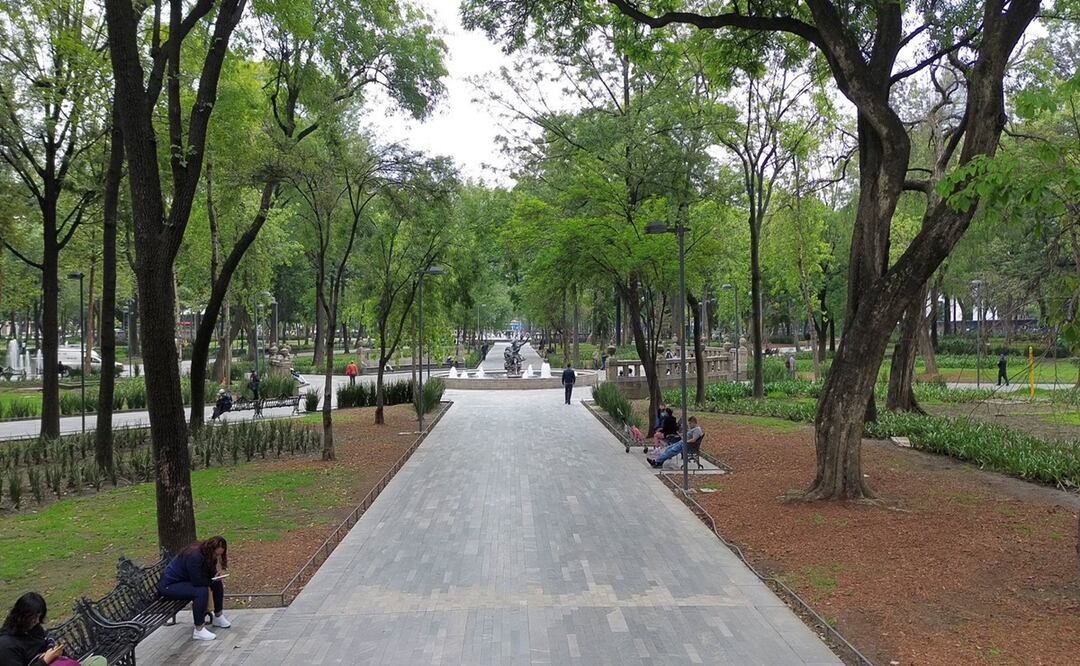 Sobse inicia trabajos de conservación de Alameda Central con mejoras en áreas verdes, fuentes y luminarias. Foto: Alberto Acosta