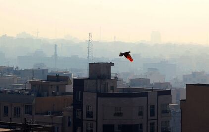 Niebla tóxica cubre Teherán: alertan por contaminación "peligrosa"; imponen restricciones para no salir