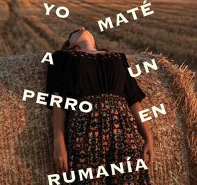 Muerte, vida y exilio en la escritura de Claudia Ulloa Donoso