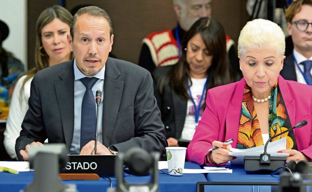 El representante del gobierno de México, José Antonio Montero, dijo ante la CIDH que desde 2017 la población pedía modernizar el PJF. Foto: Lenin Nolly | EFE