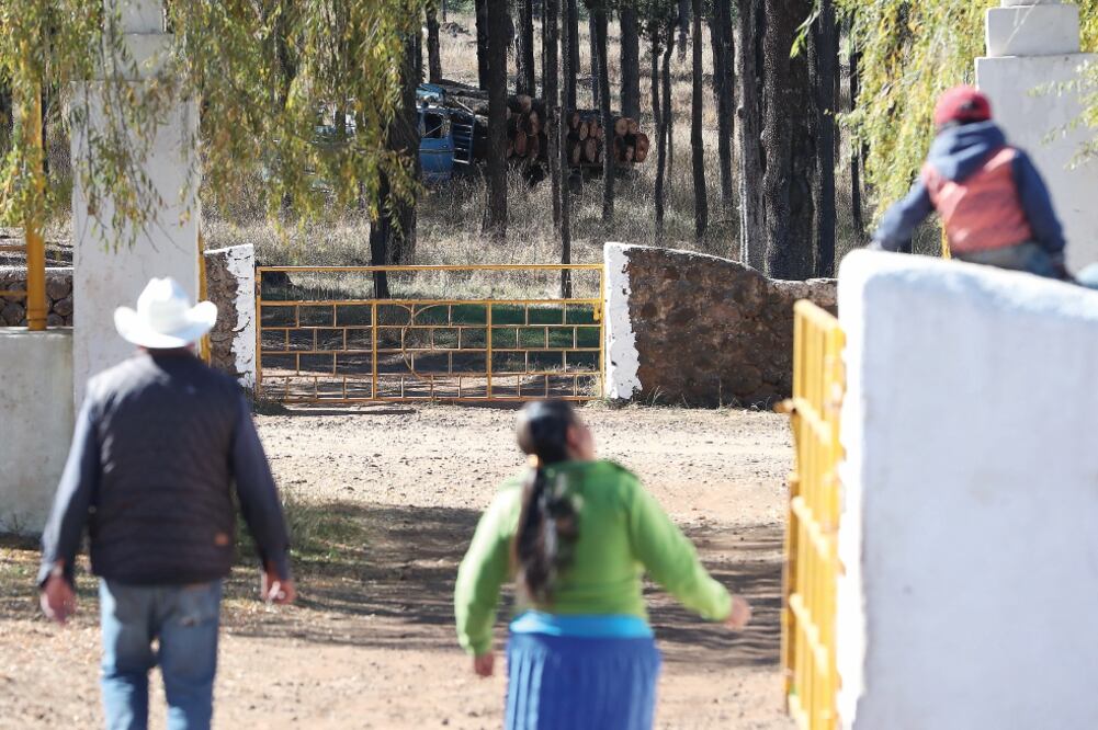 En el municipio de Guachochi índigenas rarámuris son forzados por los talamontes a trabajar para ellos. Algunos reciben pagos de 2 mil a 3 mil pesos por jornada (ARIEL OJEDA. EL UNIVERSAL)