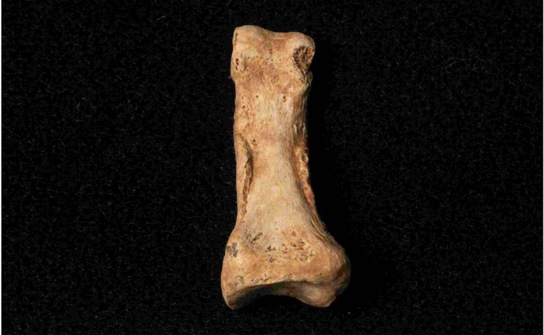 El trabajo muestra que tanto la falange como los restos del primate tendrían alrededor de 900 mil años. Foto: Archivo