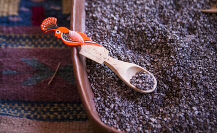 Cochineal, a traditional dye