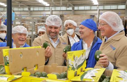 Cortadores y empacadores de aguacate de Michoacán tendrán empleos formales; establecen bases industria y autoridades