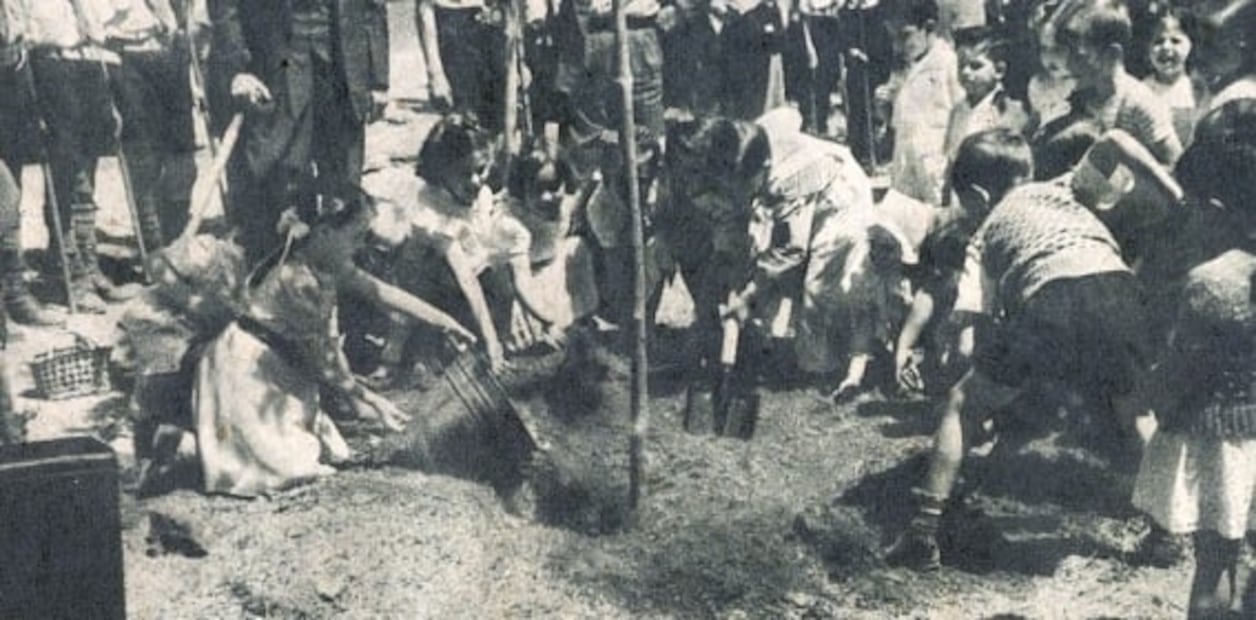 Miguel Ángel de Quevedo, el legendario defensor de árboles desde el Porfiriato