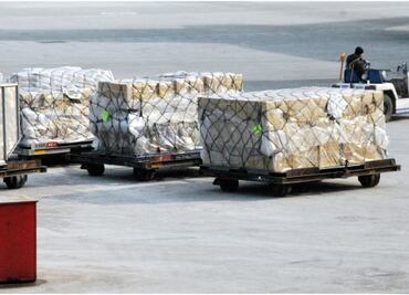 Sagarpa rechazó en 2023 ingreso de mil embarques de alimentos por contener plagas