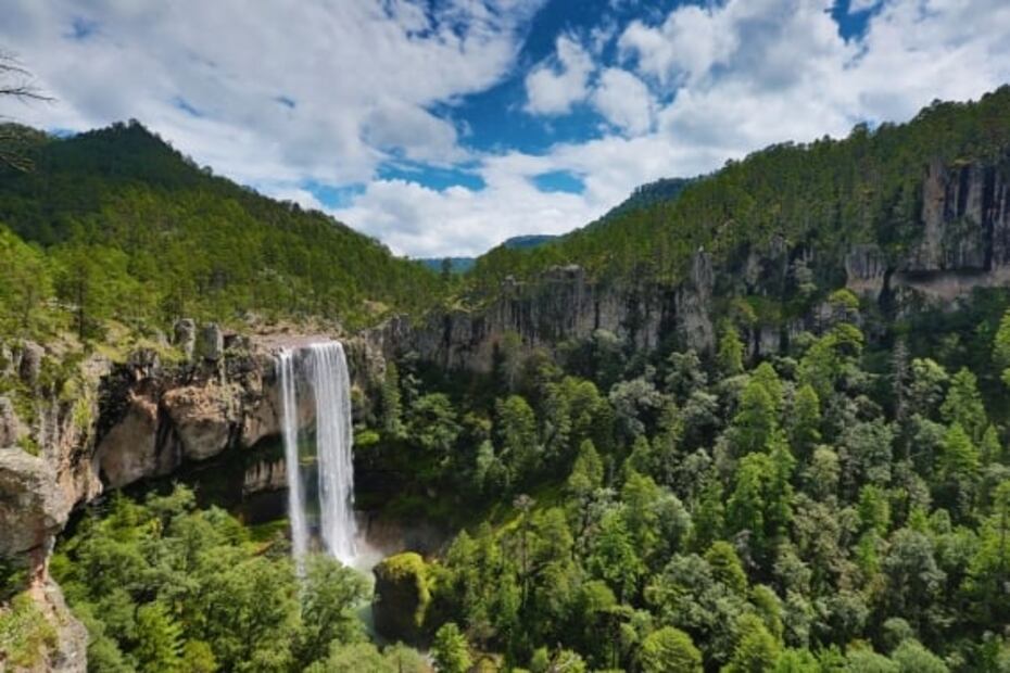 Esta es una de las cascadas más espectaculares de México y seguro no la conoces