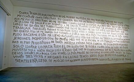 ¿Censura o una realidad cultural cambiante? Ana Gallardo en el MUAC
