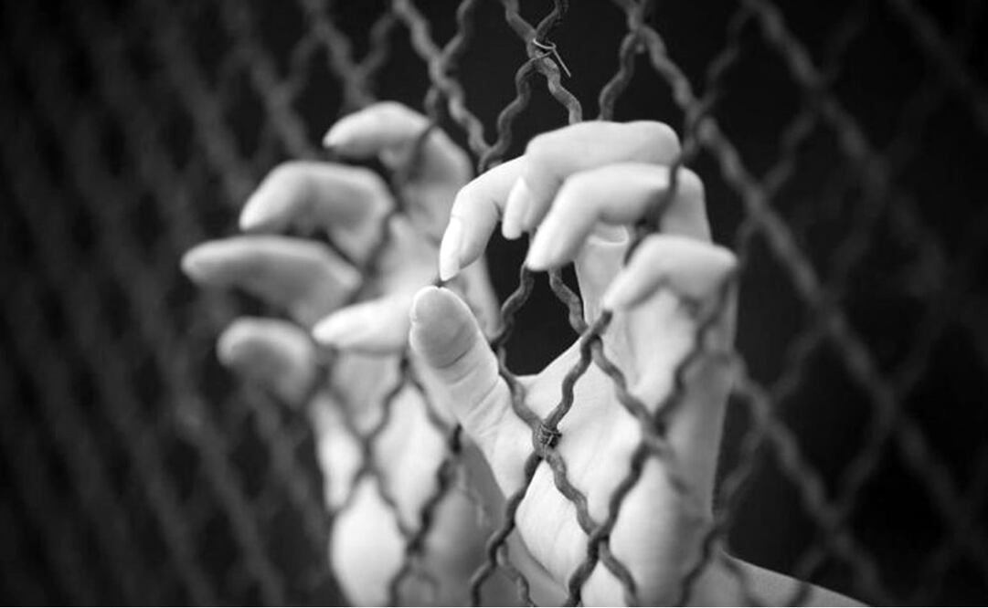 Del total de reportes de trata de personas, el 66% provienen de estados del interior de la República, 27% de la Ciudad de México y el resto del extranjero Foto: UNAM