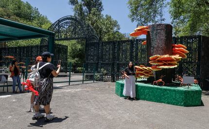 ¿Qué hacer en el último domingo de Semana Santa en CDMX? Aquí te decimos 